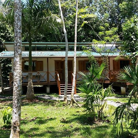 Casa Del Congo Villa Cahuita Exteriör bild