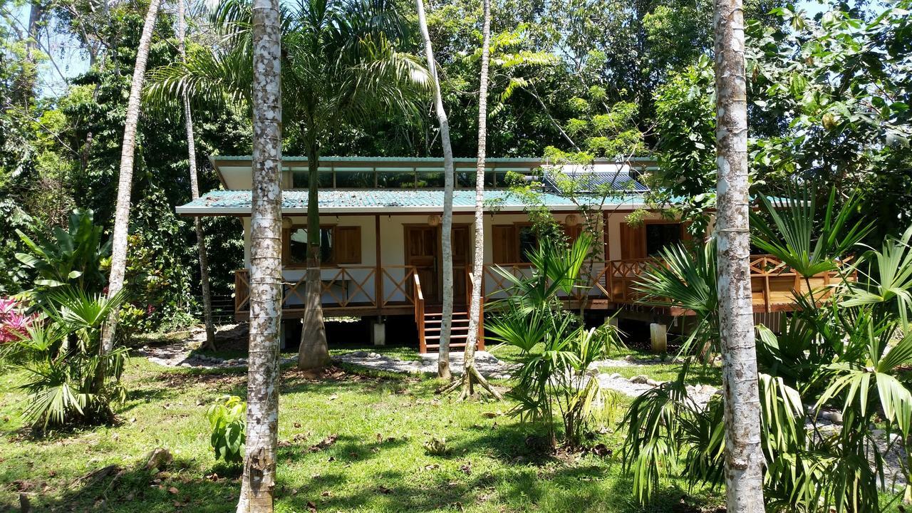 Casa Del Congo Villa Cahuita Exteriör bild