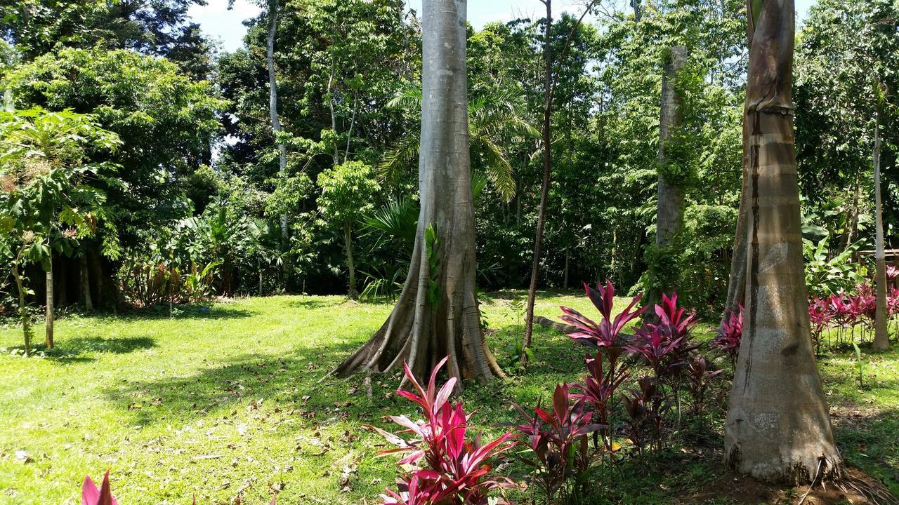 Casa Del Congo Villa Cahuita Exteriör bild