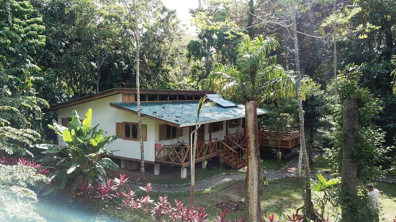 Casa Del Congo Villa Cahuita Exteriör bild